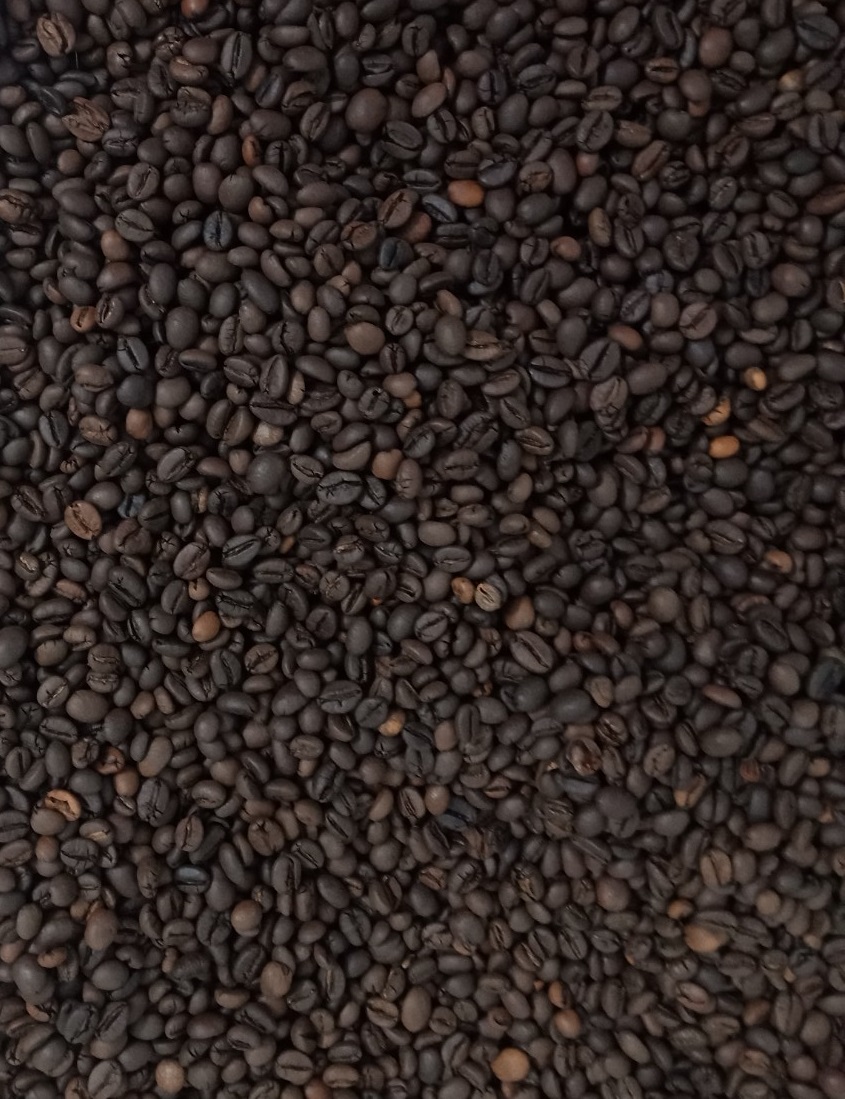 Cà phê hạt rang Robusta Java - 500 gram